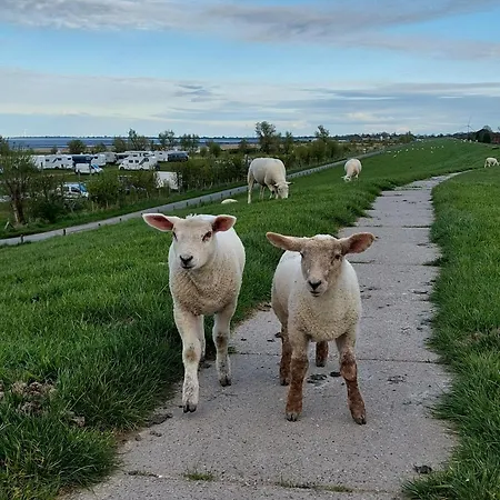 Ankerplatz In Fedderwardersiel * Butjadingen